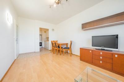 Pronájem bytu 2+kk, 40 m2, Kladno - ulice Holandská